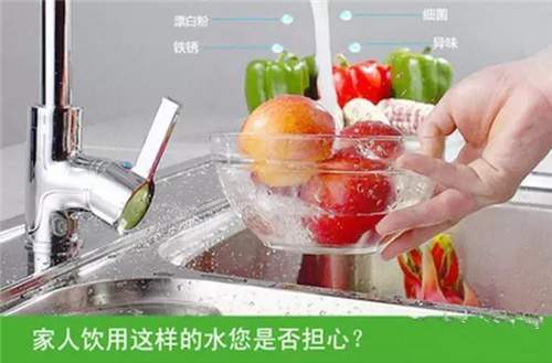 Water Purifier