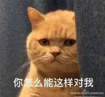 WeChat image_20180112164527