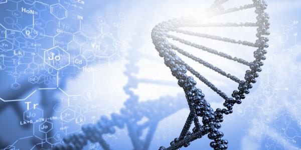 ç§‘å­¦å®¶åˆ©ç”¨DNAåˆ¶ä½œå‡ºçš„è¶…ææ–™ï¼Œ å¯å¤§å¹…è°ƒèŠ‚å…‰å­ä¼ æ’­æ€§è´¨