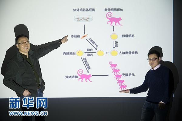 æ­ç§˜å…‹éš†çŒ´ï¼šä»Žå¤šåˆ©ç¾Šåˆ°ä¸­ä¸­çŒ´ ä¸ºä½•ç”¨äº†21å¹´