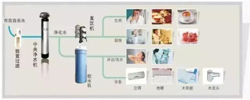 Water Purifier