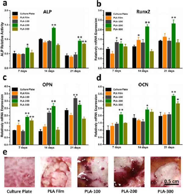 å±±ä¸œå¤§å­¦Nano Lett.: ç”Ÿç‰©ææ–™è¡¨é¢çº³ç±³æŸ±é˜µåˆ—è°ƒæŽ§éª¨ç»„ç»‡ä¿®å¤