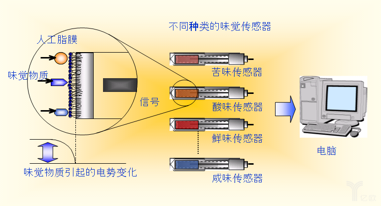 ä¸­åŒ»AIä¸é è°±ï¼ŸåŠä½ çœ‹çœ‹è¿™3ç±»åº”ç”¨