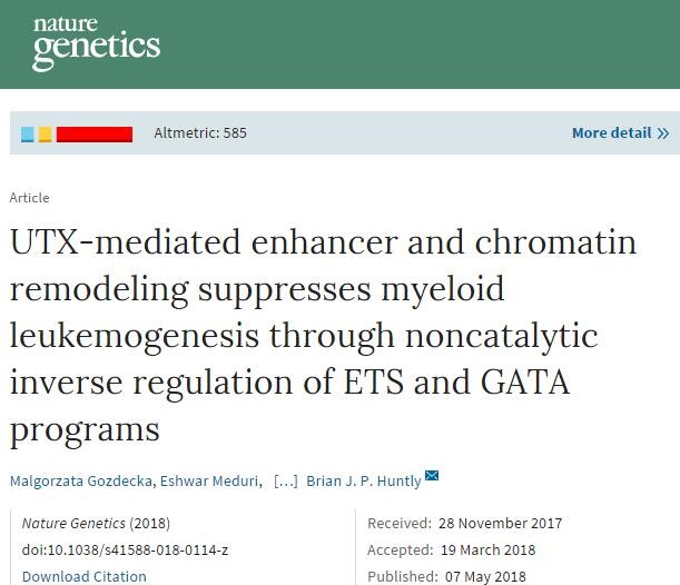 ç§‘å­¦å®¶å‘çŽ°YæŸ“è‰²ä½“åŸºå› çš„æ–°è§’è‰²â€”â€”å¯¹æŠ—ç™½è¡€ç—…