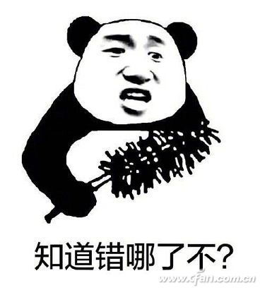 Timg (1)