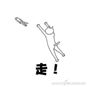 Timg (1)