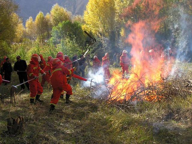 What are the requirements for materials, structures and appearance of forest fire protection clothing?