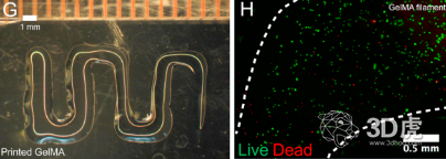 UOTä½¿ç”¨è‡ªå®šä¹‰ç”Ÿç‰©3Dæ‰“å°æœºæ‰“å°å¤æ‚è¡€ç®¡ç»„ç»‡