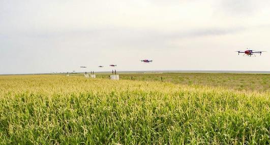 Plant protection drone operation process detailed