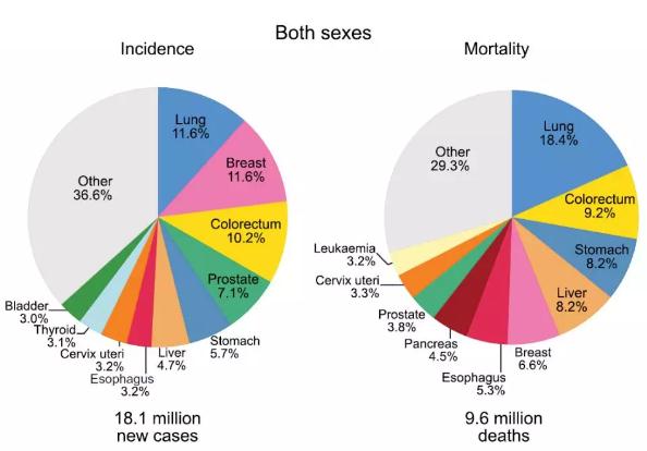 æœ€æ–°å…¨çƒç™Œç—‡ç»Ÿè®¡ï¼šä»Šå¹´å°†æœ‰1000ä¸‡äººæ­»äºŽç™Œç—‡