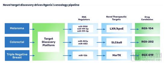 å°åˆ†å­åŠæŠ—ä½“ç±»ç™Œç—‡æ²»ç–—è¯ç‰©ç ”å‘å…¬å¸RgenixèŽ·4000ä¸‡ç¾Žå…ƒCè½®èžèµ„