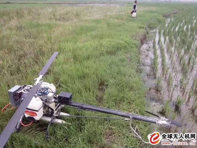 Flying hand sentiment: Plant protection flying defense is not simple