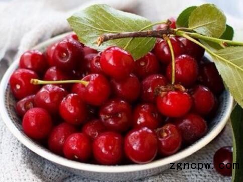 Cherry