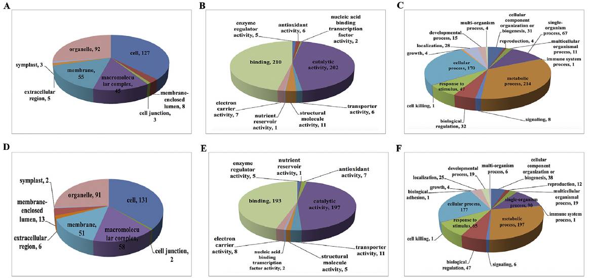 Differential protein GO function annotation between different groups