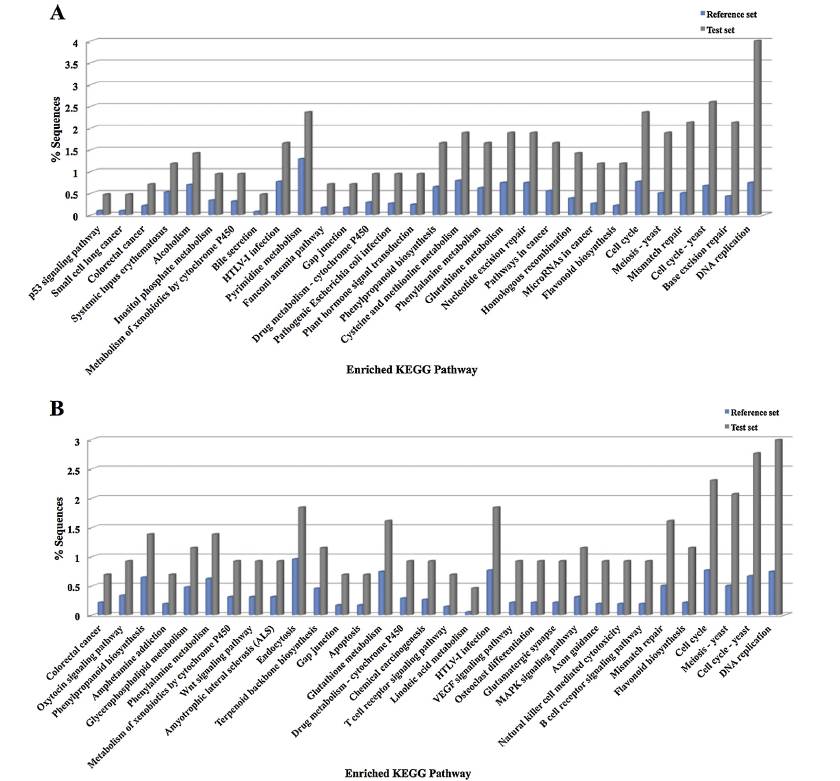 Notes on differential protein KEGG metabolic pathway between different groups