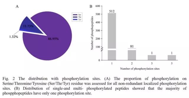 Phosphorylation modification site distribution