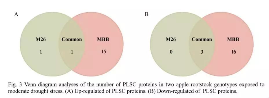 Venn diagram of differential proteins