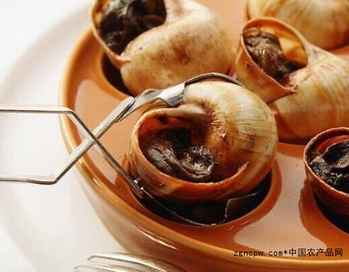 French snail: the first of the world's four famous dishes