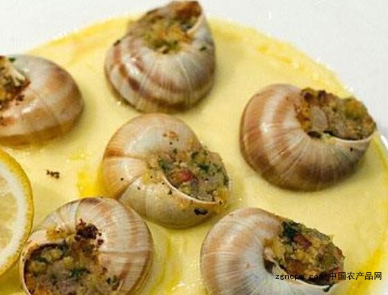 French snail: the first of the world's four famous dishes