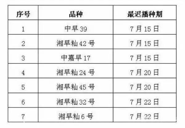 è¿™æ˜¯ä¸€å¼ æ°´ç¨»ç¾åŽå€’ç§æ˜¥ç›´æ’­æ ½åŸ¹æŠ€æœ¯æŽªæ–½çš„é…å›¾