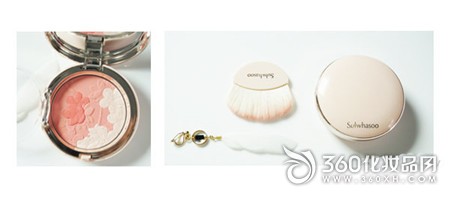 Blush, concealer, good color