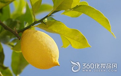 The beauty effect of lemon