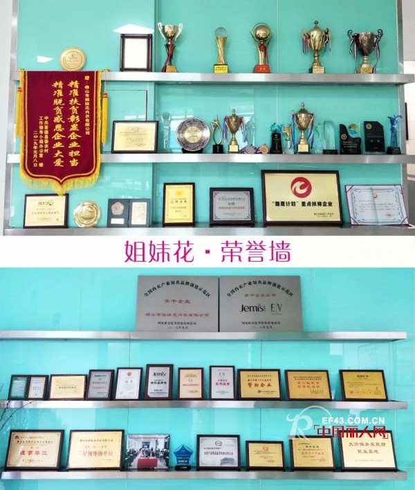 å‡¤åŽé›†å›¢30å‘¨å¹´&å§å¦¹èŠ±20å‘¨å¹´åº†å…¸æš¨2019æ˜¥èŠ‚è¿Žæ–°æ™šä¼šå³å°†å¼€å¯