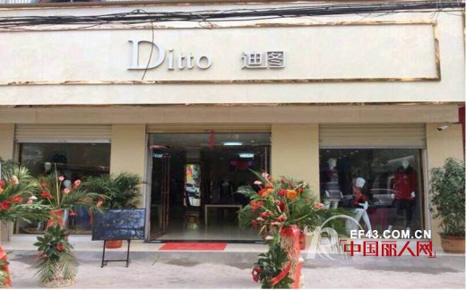 æ­è´ºï¼šDITTOè¿ªå›¾æ²³å—å•†ä¸˜ä¸“å–åº—éš†é‡å¼€ä¸š