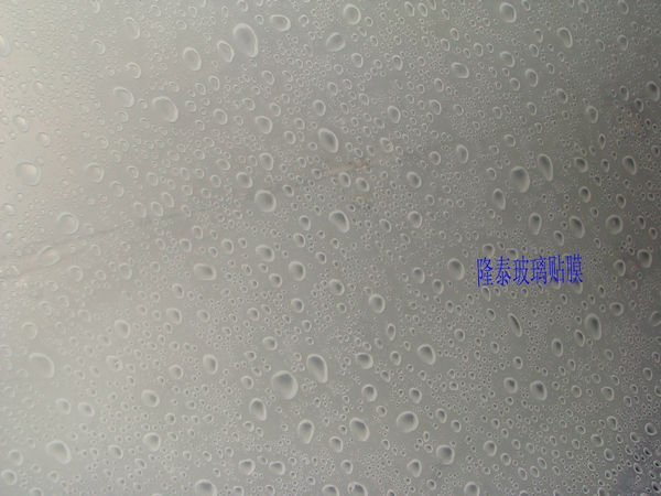 'Longtai Glass Film launches new products