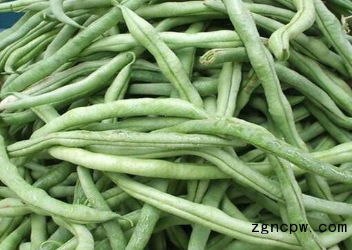 Green beans