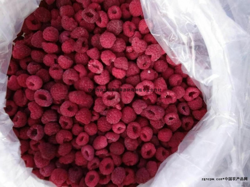 Chinese fruit industry rookie: red raspberry