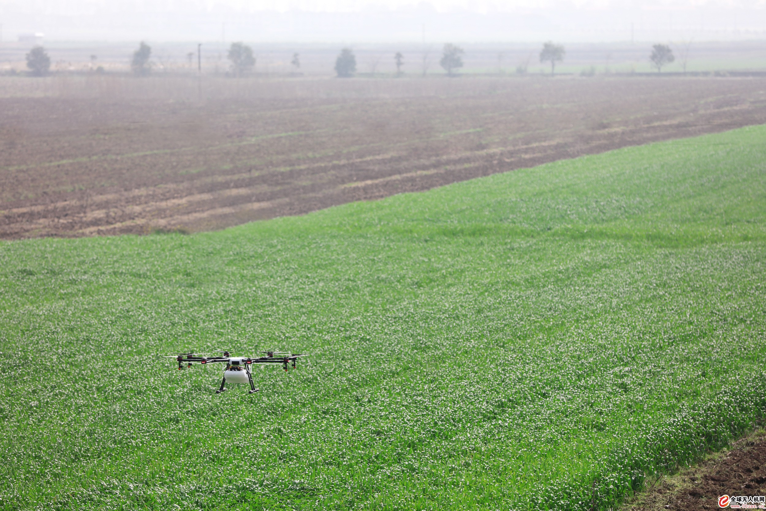 Hejian City Mengtian plant protection drone flight defense service operation process