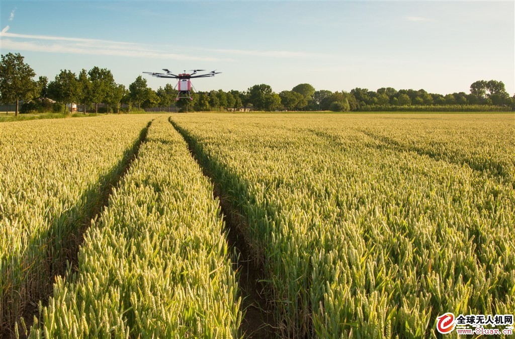 Hejian City Mengtian plant protection drone flight defense service operation process