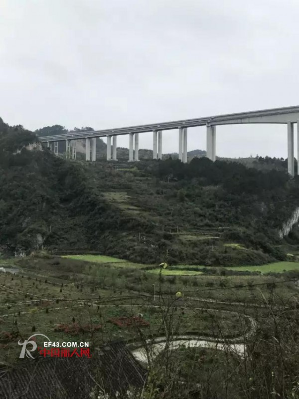 æ¥çœ‹! | ä»–ä»¬æŠŠèŠ±èŠ±è‰è‰å°åœ¨äº†çº¸ä¸Š