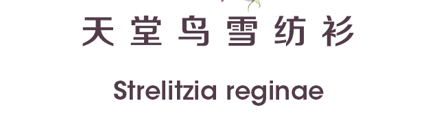 æœ‰å“ªäº›å°æ¸…æ–°ç©¿æ­ï¼ŸèŒœå¯å¯å¸¦ä½ äº†è§£