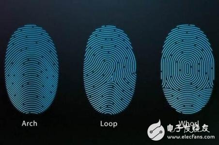 Fingerprint recognition