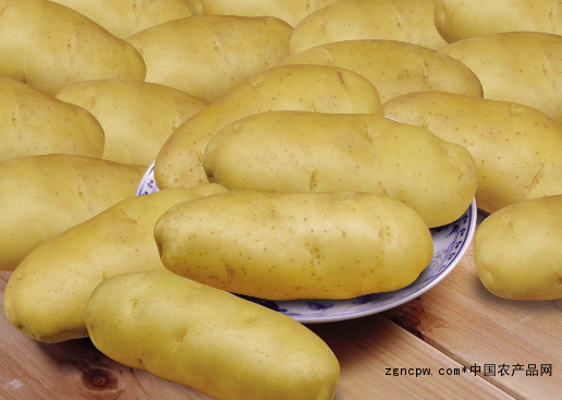 Zhangjiakou potato