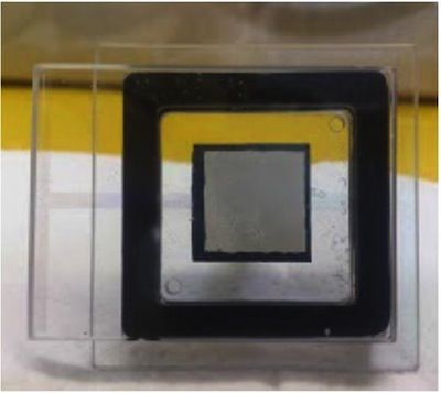 Carbon nanotube field emission array