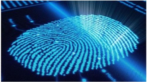 Fingerprint recognition