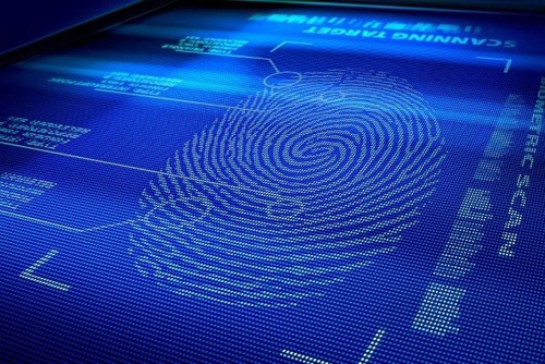 Fingerprint recognition