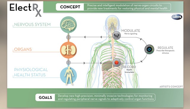 American research human body chip