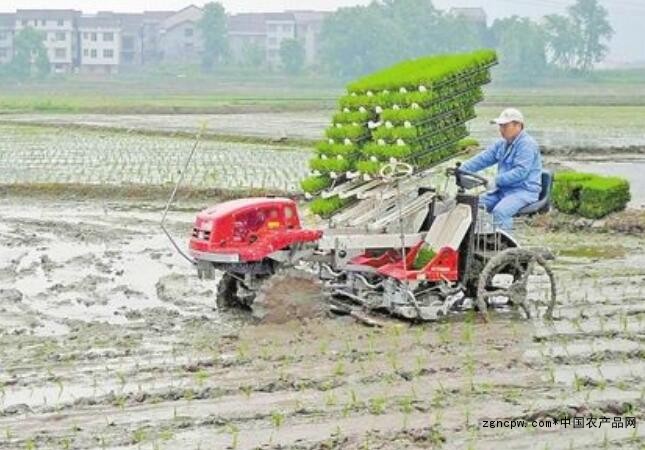 Agricultural planting machinery