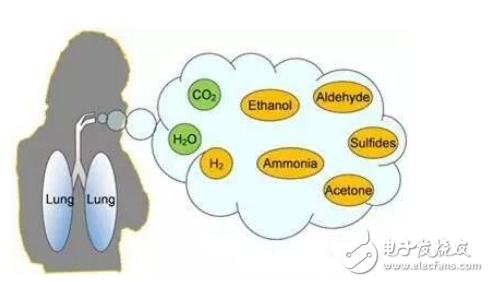 new technology! Portable breathing sensor for accurate gas concentration identification