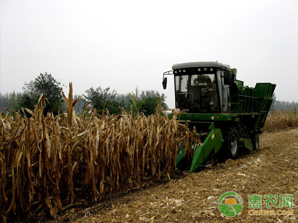 Full-scale deep-turning technology of corn stalks in rain-fed areas