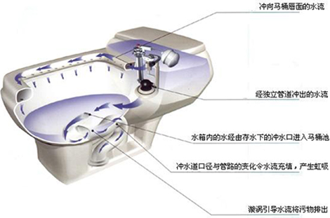 Vortex Siphon Toilet