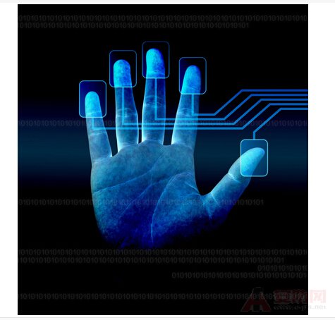 Fingerprint recognition