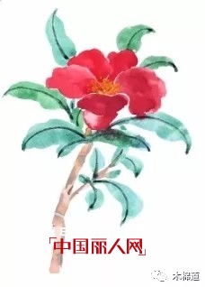 æœ¨æ£‰é“