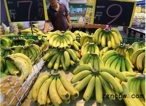 Taiwanese banana