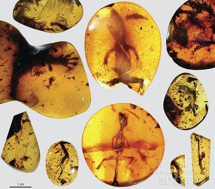 Scientists use 3D printing to study the world's oldest chameleon's amber