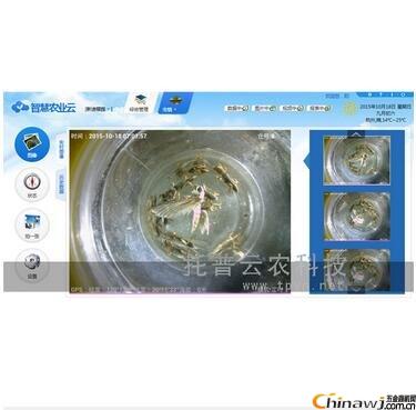 How to maintain the automatic collection and analysis system of insect information? Here is a coup